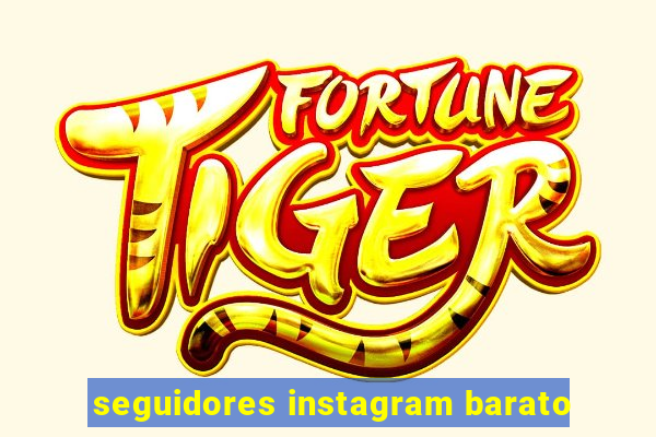 seguidores instagram barato